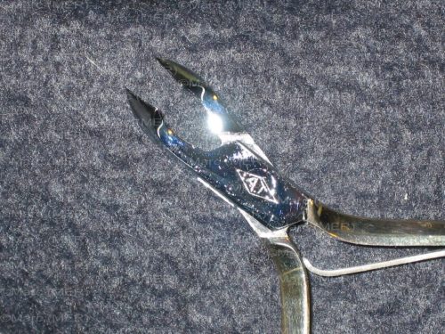 IMG 0085