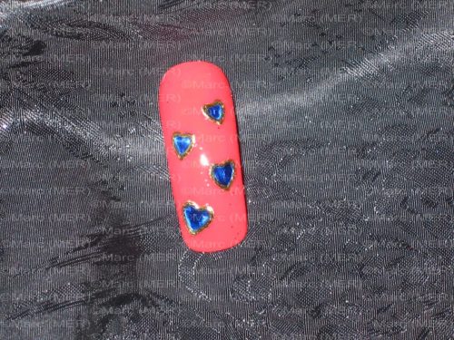 IMG 0516